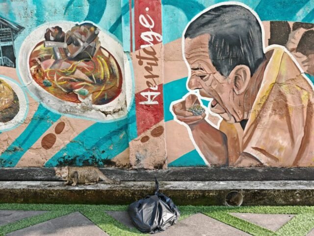 Batu Pahat Town