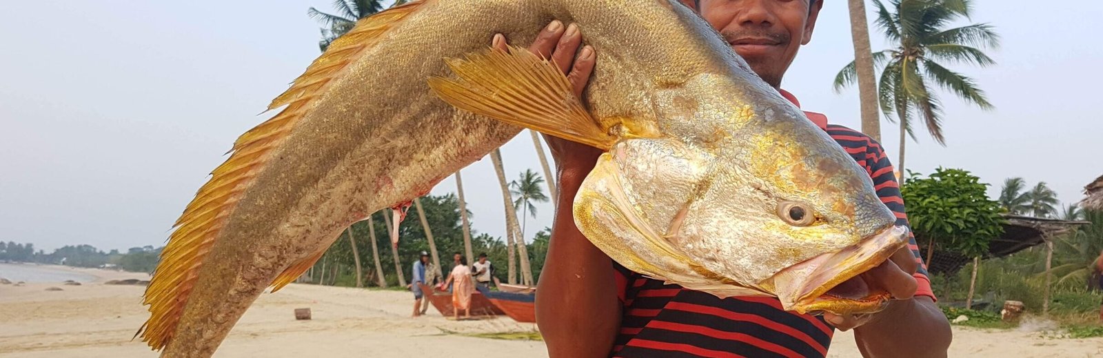Strange fish
